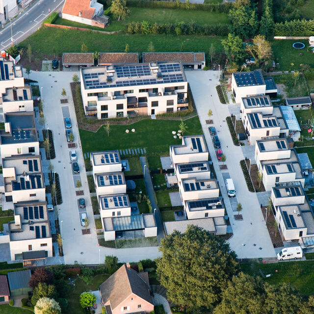 Spijbelveld
